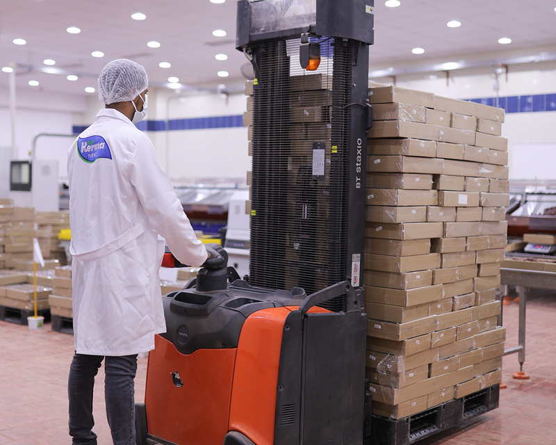Export-Ready Cartons