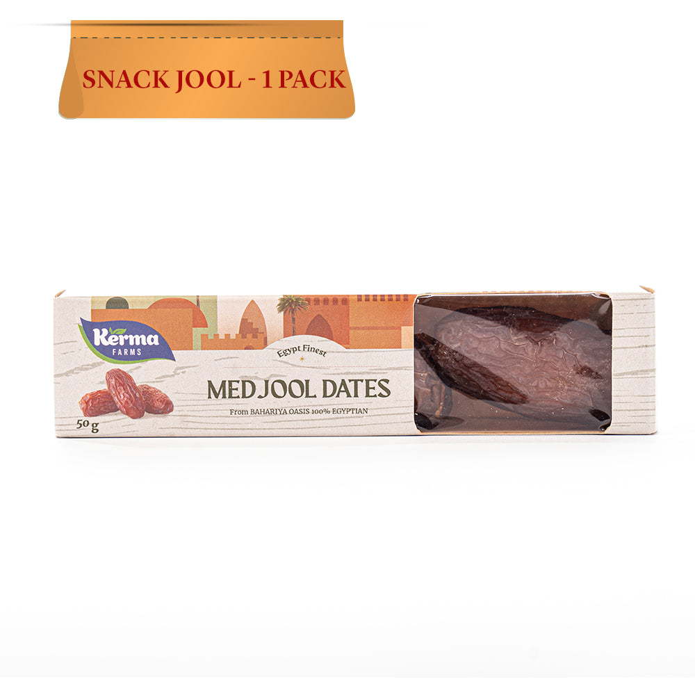 Snackjool Medjool Dates - 1 Pack
