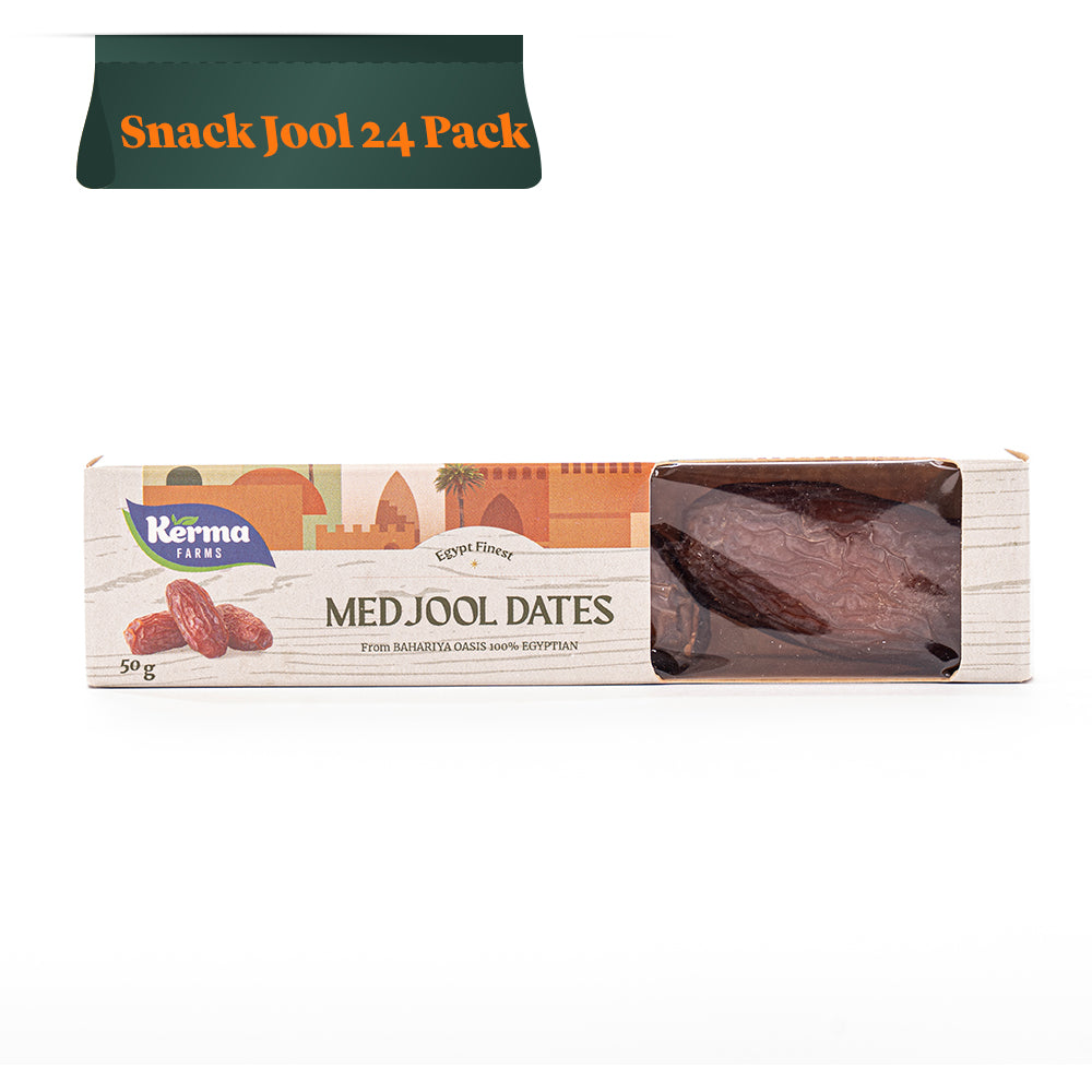 Snackjool Medjool Dates - 24 Pack