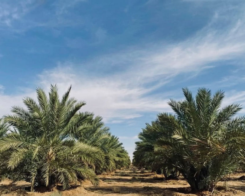 Our Farms